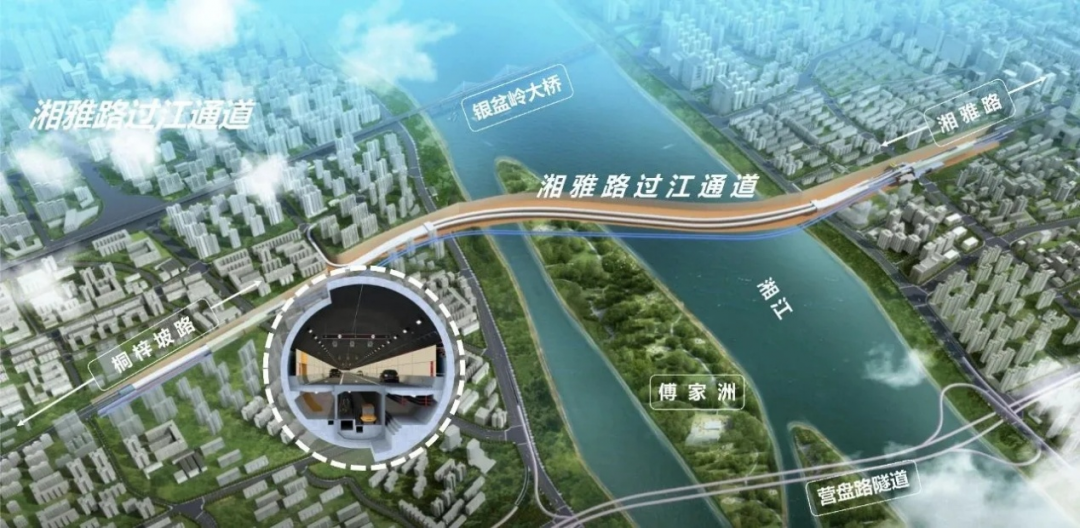 20260706650038.png 圖片3.png